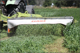 Oaklane Chaff